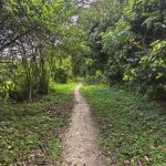 IMG_20260203_084734_1